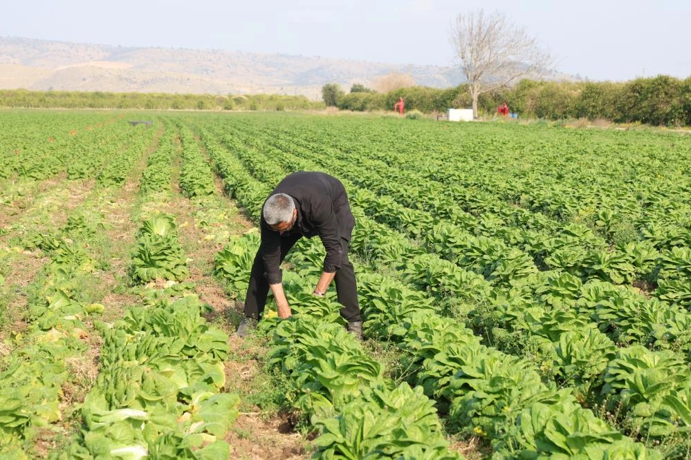 Yalova Tarım Başvuru Duyurusu