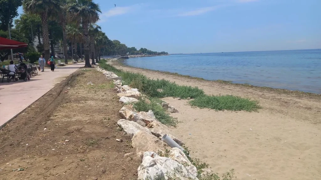 Yalova Akasya Plajı Yosun Görüntüsü