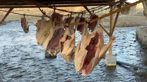 Kars’ta Kaz Kurutma Sezonu Başladı: Tanesinin Fiyatı 6 Bin TL’ye Kadar Çıkıyor!