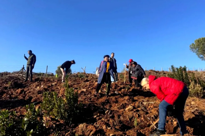 Çiftlikköy’de Kadınlardan Doğaya Güçlü Dokunuş!