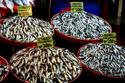 Yalova Balık Pazarı’nda Hamsi Yine İlk Sırada!