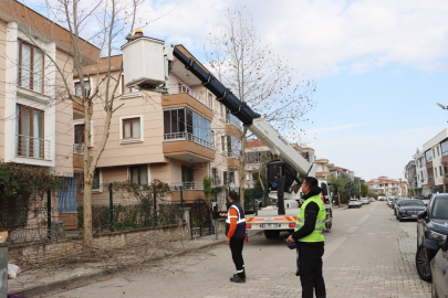 Yalova Belediyesi’nden Tehlike Arz Eden Ağaçlara Budama!