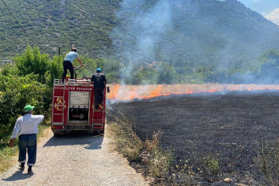 Yalova'da Alevler Yükseldi, Hayvanlarını Son Anda Kurtardı!