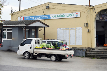 Yalova Yaş Sebze ve Meyve Hali’nde Rekor Hareketlilik!