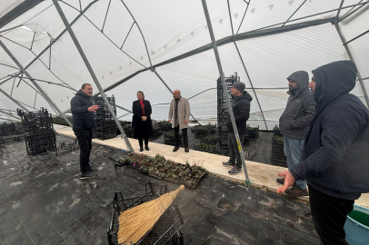 Başkan Fazlaca’dan Fırtınadan Zarar Gören Seralara İnceleme!