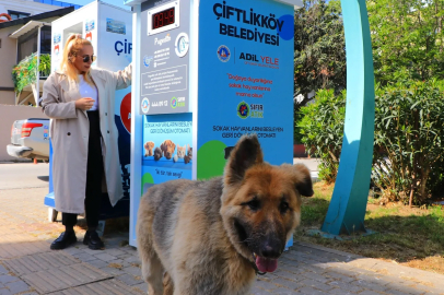 Çiftlikköy’den Örnek Dayanışma: 120 Bin Atık, Binlerce Pati!