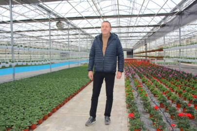 Yalova’daki lodos seraları vurdu: SÜSBİR’in “hasar dosyası” bakanlığın gündeminde!