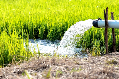Su ve Tarımda Alarm: “Vahşi Sulama Dönemi Bitmeli”!