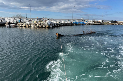 Yalova'da Denizde Tehlike Oluşturan Yüzen Ağaç Kıyıya Çekildi!