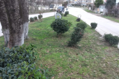 Çınarcık’ta Parklarda Kapsamlı Bakım Seferberliği Yapıldı!