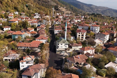 Türkiye’de en az köy Yalova’da: 43 köyle listenin sonunda!
