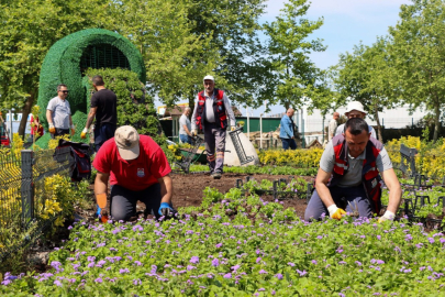 Yalova Yeşile Doydu: 624 Bin Metrekarelik Çalışma Yürütüldü!