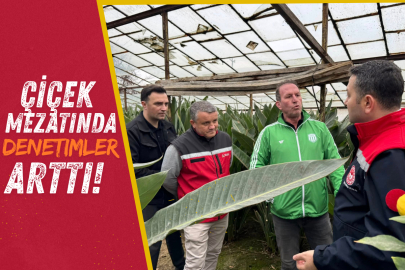 Yalova'da Güller Sevgililer Günü İçin Hazırlanıyor!