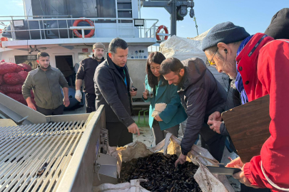 Japonya Heyeti Yalova’da: Midye Çiftliklerine Yakından İnceleme!