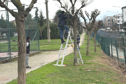 Çiftlikköy’de Belediye Çalışmaları Hız Kesmedi!
