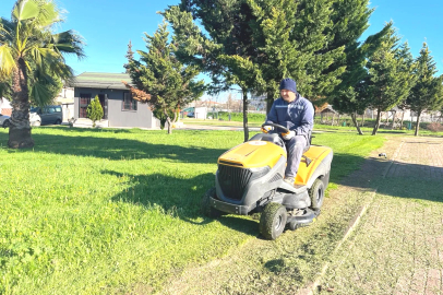 Altınova Rengârenk Oluyor: Bahar Hazırlığı Başladı!
