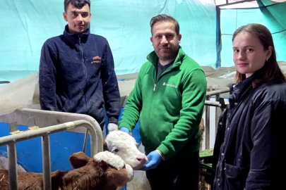 Şap Aşısı Olmadan Sevk Yok: Yalovalı Yetiştiriciye Uyarı!