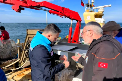 Yalova Organik Midye Üretiminde Vites Yükseltiyor!