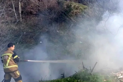 Altınova’da Orman Yangını: Alevler Büyümeden Söndürüldü!