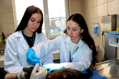 Yalova Belediyesi’nden Erasmus Öğrencilerine Staj Desteği