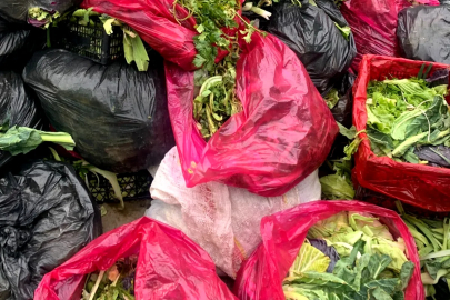 Çınarcık’ta Pazar Atıkları Gübreye Dönüşüyor