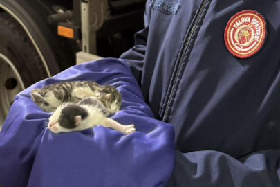 Yalova’da Aracın Motoruna Sığınan Yavru Kedileri İtfaiye Kurtardı