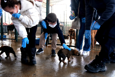 Çiftlikköy’de Geri Dönüşümle Sokak Hayvanlarına Destek Başladı