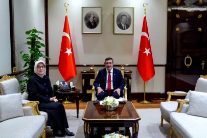 Meliha Akyol, Cumhurbaşkanı Yardımcısı Cevdet Yılmaz ile Görüştü