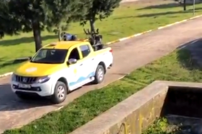 Yaz Aylarına Hazırlık: Çınarcık Belediyesi İş Başında!