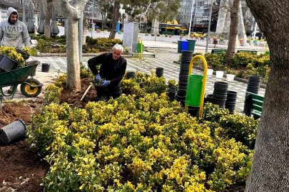 Baharın Gelişiyle Çınarcık'ta Parklar Daha Renkli Olacak!