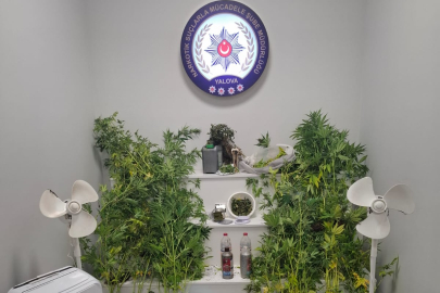 Yalova’da Aranan Şahısın Evinde Uyuşturucu İmalathanesi!