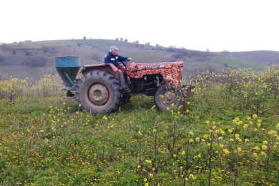 Yalova’da Hayvancılığa Destek: Mera Projesi Sürüyor!