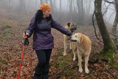 Yalova’da “Doğada Bir Gün” Ekibi Bayramda Yürüyüş Yaptı