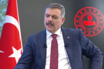 Araçlarda Multimedya Düzenlemesi: Sürüşte Video Yasak mı?