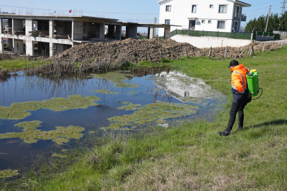 Sivrisineklere Geçit Yok: Yalova’da Yoğun Mücadele!