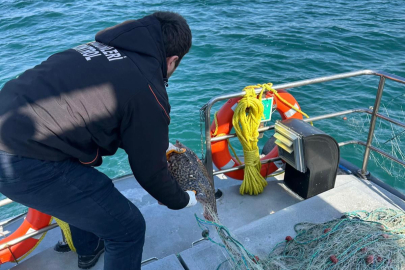 Yalova Açıklarında Kaçak Av Ağına El Konuldu!