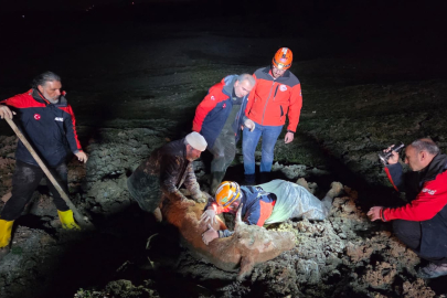 Bataklıkta Ölümle Burun Buruna: Paşakent’te Nefes Kesen Kurtarma!