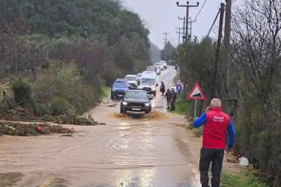 Yalova’da Sağanak Felaket Getirdi: 5 Büyükbaş Hayvan Sele Kapıldı!