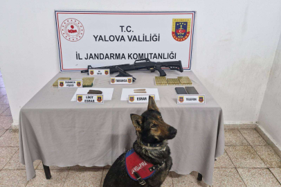 Çınarcık’ta Uyuşturucu ve Silah Operasyonu: Evden Cephanelik Çıktı!