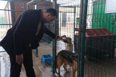 CHP Çiftlikköy’den Sokak Hayvanları Günü’nde Bakımevi Ziyareti