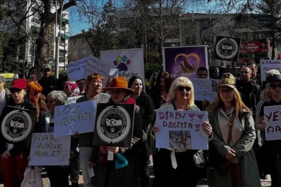 Yalova’da Sokak Hayvanlarını Toplatma Girişimine Karşı Eylem!