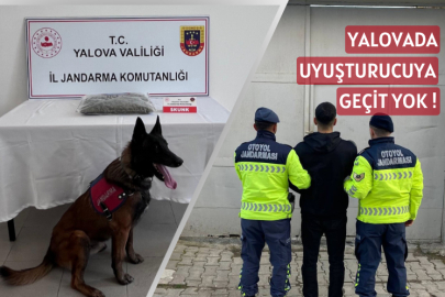 Yalova’da Uyuşturucu Operasyonu: 1,5 Kilograma Yakın Skunk Ele Geçirildi!