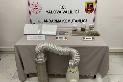 Altınova'da Uyuşturucu Operasyonu:Kenevir Yetiştirip Esrar Üreten Şahıslara Adli Kontrol!