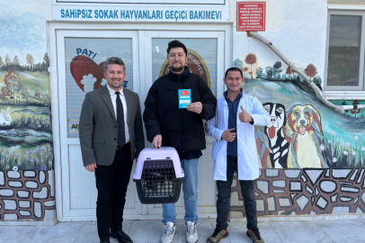 Çiftlikköy'de Hayata Tutunan “Şanslı” Yeni Yuvasına Kavuştu!