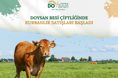 DOYSAN'da  Kurbanlık Satışlarına Başlandı!