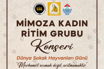 Yalova’da Sokak Hayvanları İçin Ritimli Farkındalık Gecesi