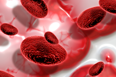 Yalova İl Sağlık Müdürlüğü’nden Hemofili Hastalarına Önemli Uyarı!