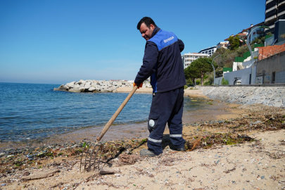 Armutlu Sahilleri Titizlikle Temizleniyor!