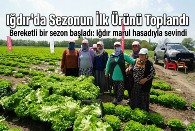 Iğdır’da Sezonun İlk Ürünü Toplandı